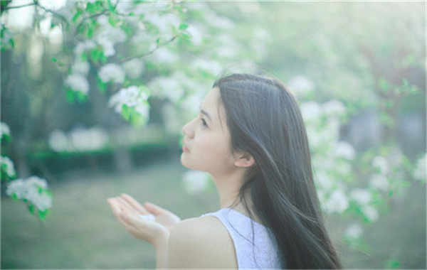 桥东验血查男女几周可以验(验血查男女结果图)